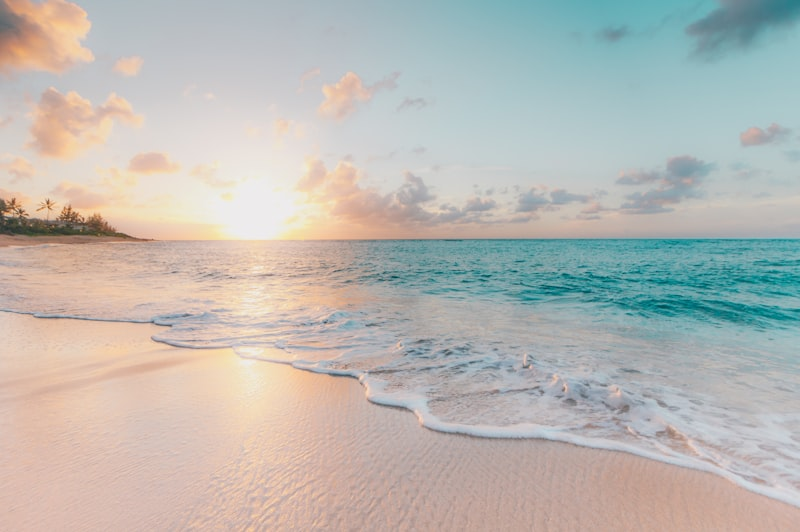 Alcudia beach